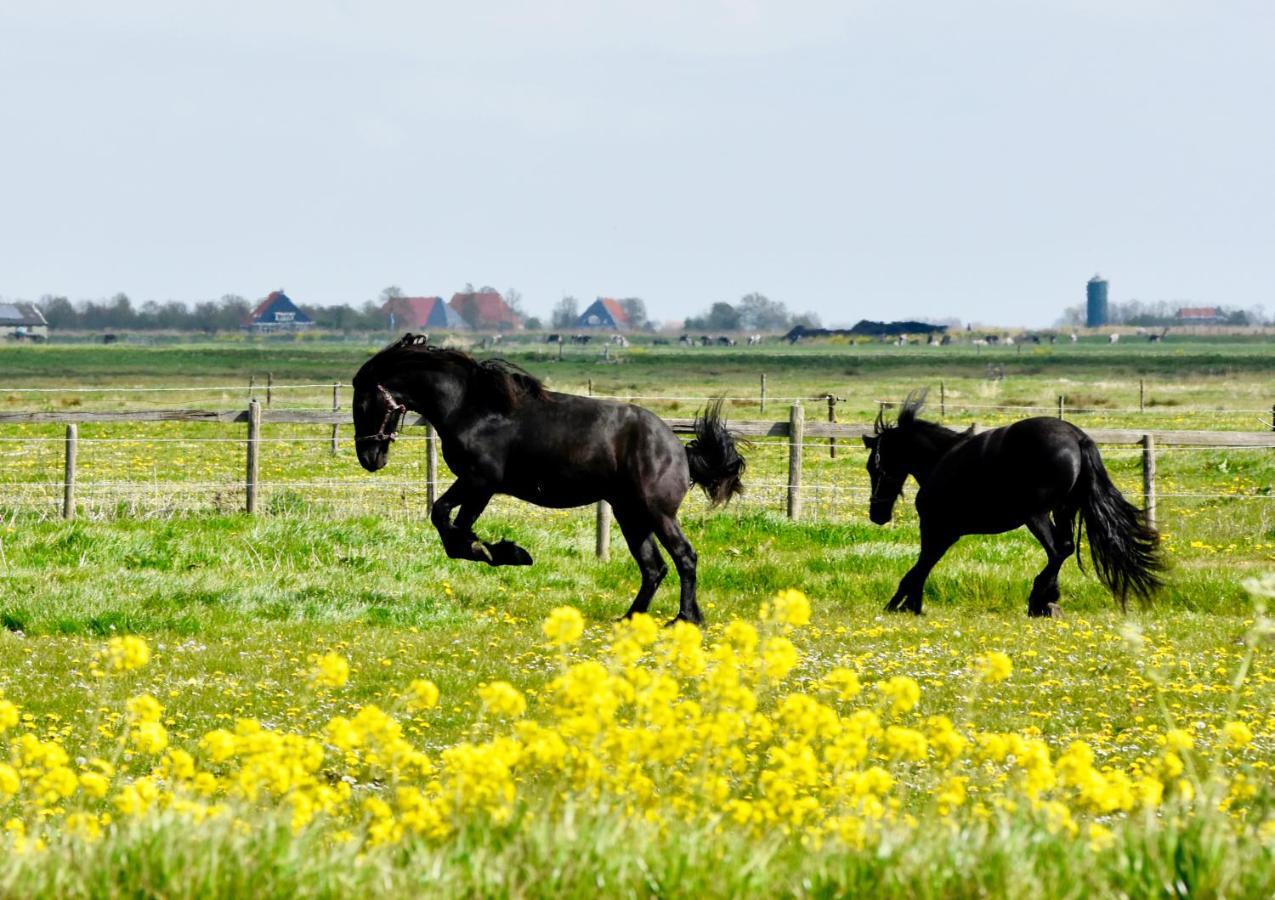 Het Melkhuis Op Prachtig Landgoed Koepeltjesplaats Gaast Eksteriør bilde