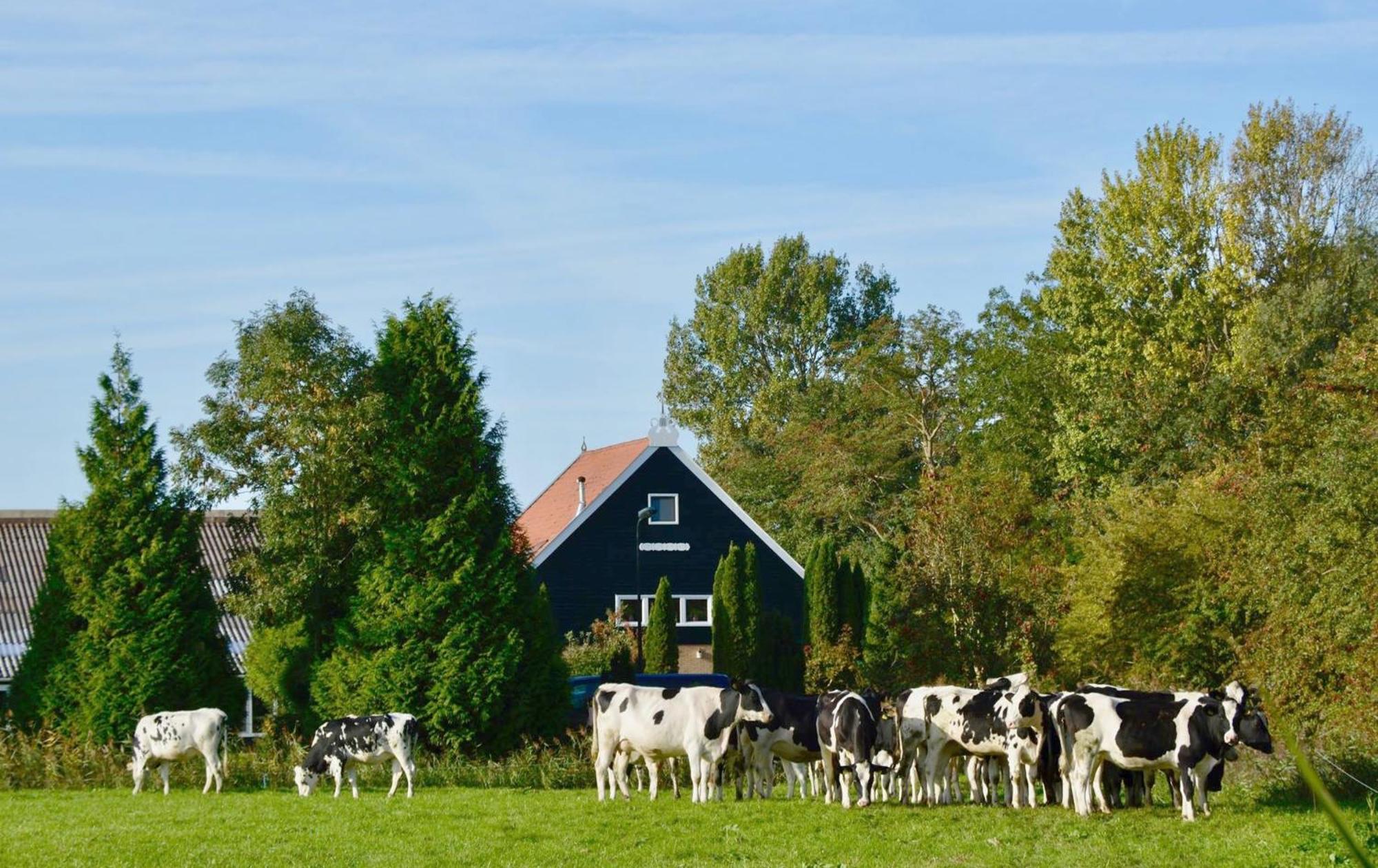 Het Melkhuis Op Prachtig Landgoed Koepeltjesplaats Gaast Eksteriør bilde